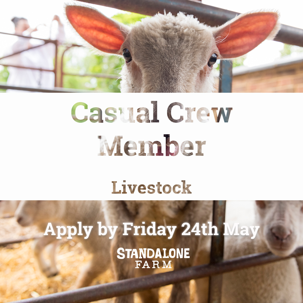 Casual Crew - Livestock - Standalone Farm | Letchworth