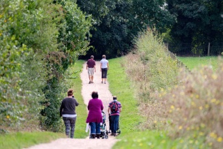 Greenway Day