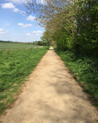 We manage the permissive paths around the Greenway route